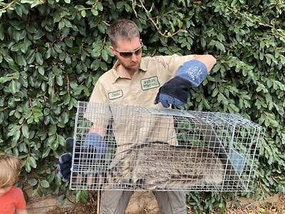 Augusta pest control